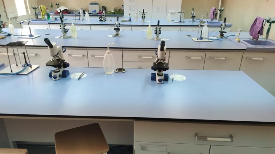 School Labs