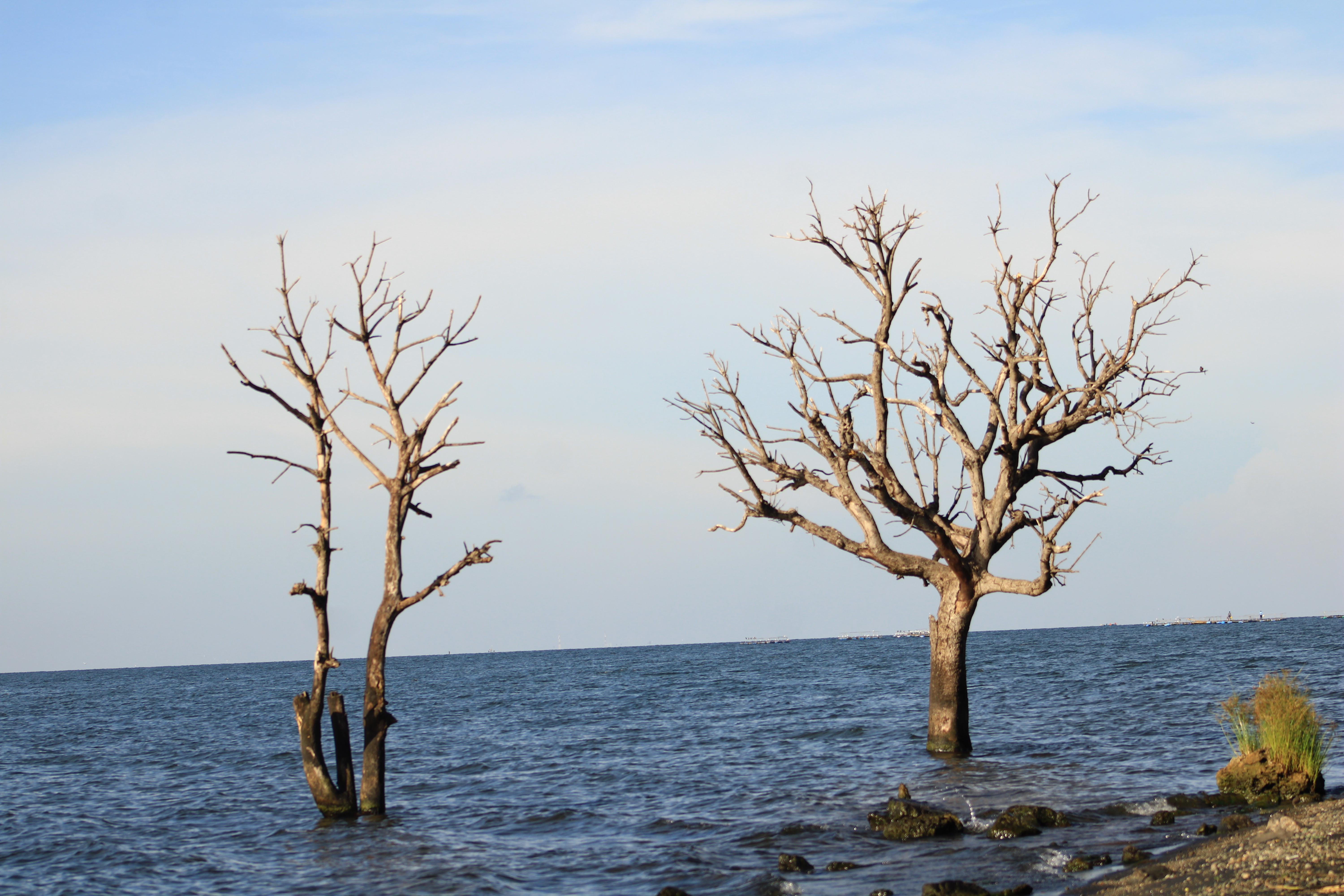 Environmental Awareness